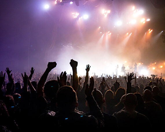 concerts and festivals