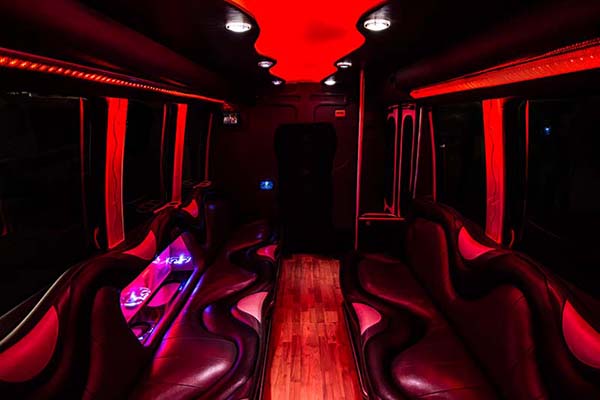 14 passenger party bus interior #2