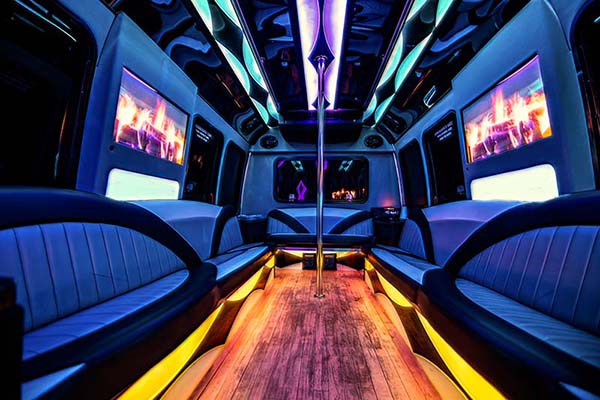 18 passenger party bus interior #1