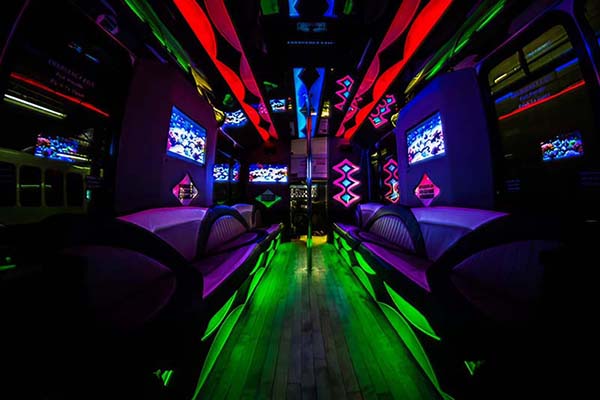 24 passenger party bus interior #2