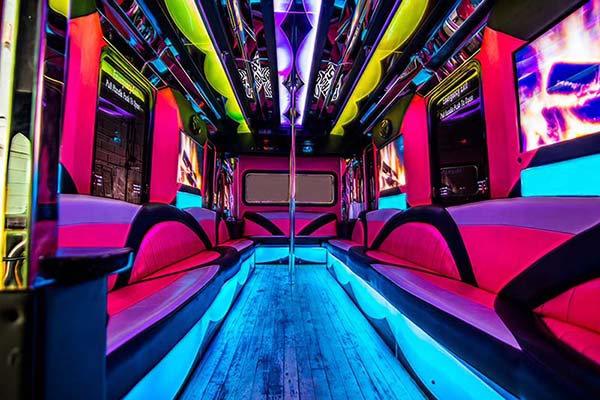 24 passenger pink bus interior #1