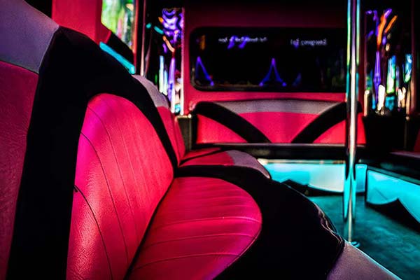 24 passenger pink bus interior #2