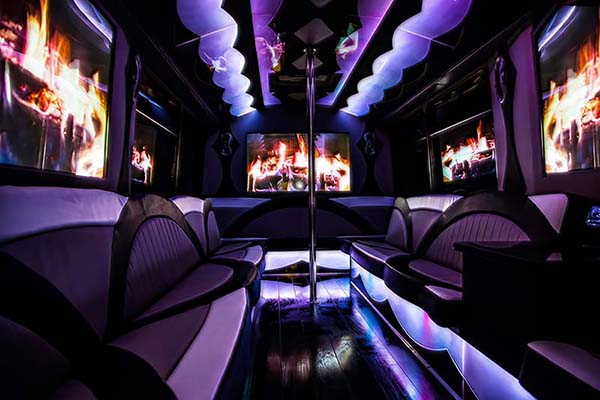 30 passenger party bus interior #1