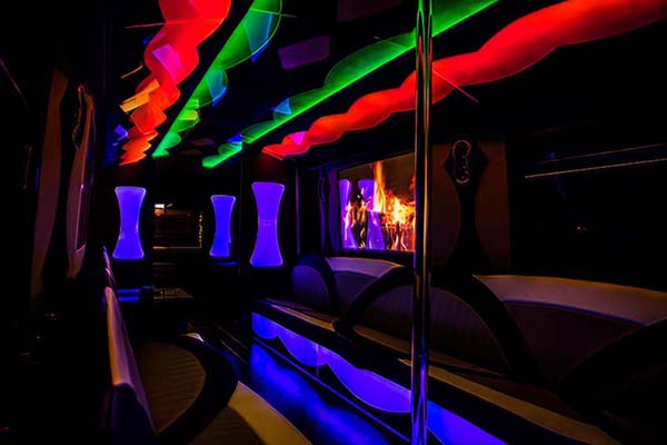 30 passenger party bus interior #2